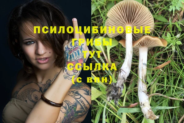 каннабис Новодвинск