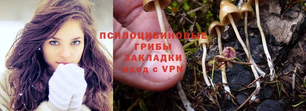 МДМА Новозыбков