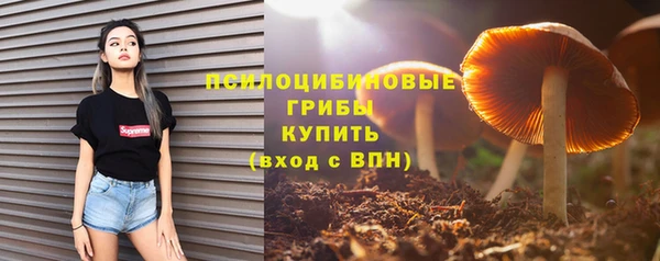 скорость Новокубанск